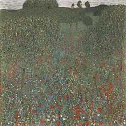 Champ de coquelicots